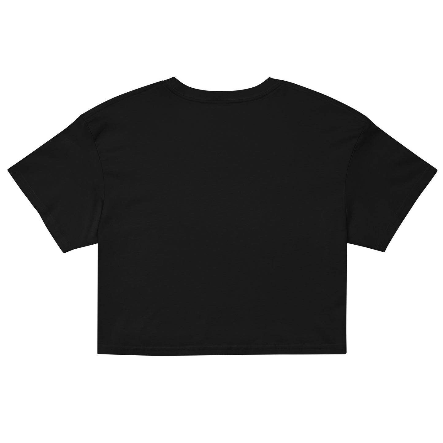 Brazil Flag Women’s crop top