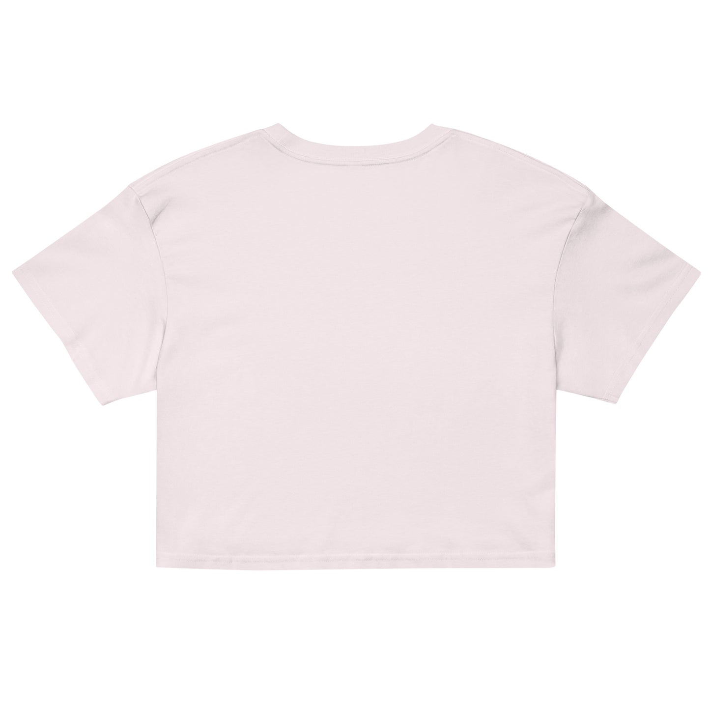 Brazil Flag Women’s crop top